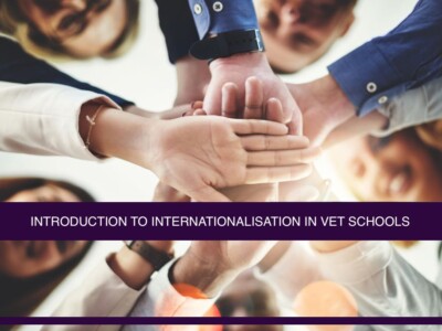 Internationalisation