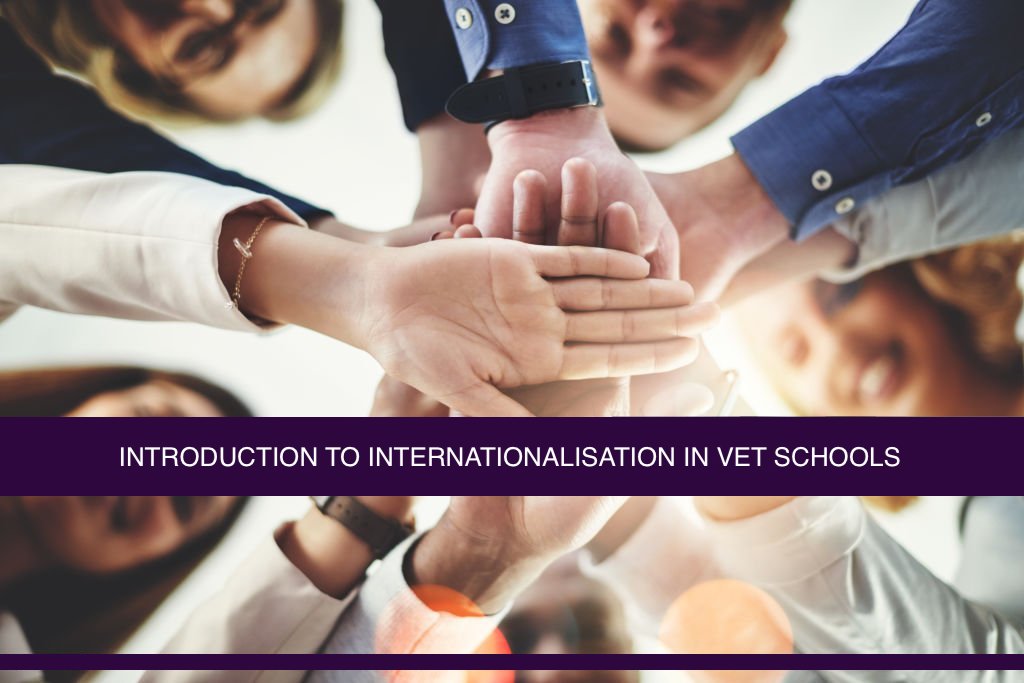 internationalisation training craftingthefuture - Mosaic